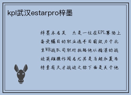 kpl武汉estarpro梓墨